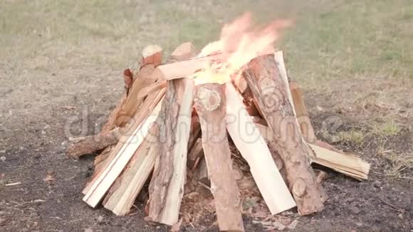 在草地上做一个大篝火用木头做的美丽的篝火视频的预览图