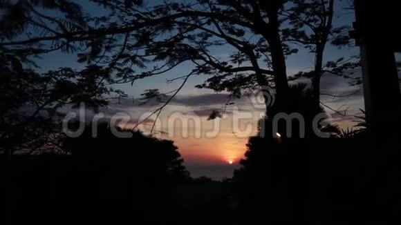 日落和树木在风中移动视频的预览图