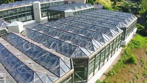 在美丽的花棚玻璃屋顶上飞翔夏季植物园视频的预览图