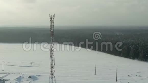 鸟瞰冬季景观乡村有雪林田飞森林覆盖着霜雪的树木空中视频的预览图