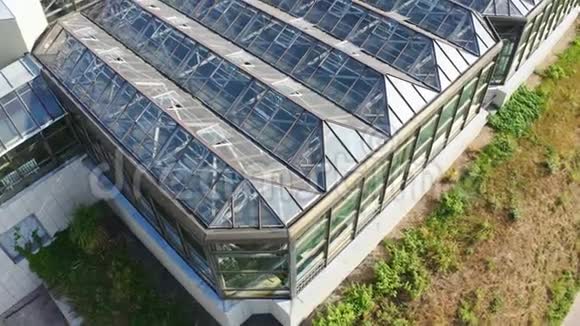 温室的玻璃屋顶空中下降与倾斜相机夏季植物园视频的预览图