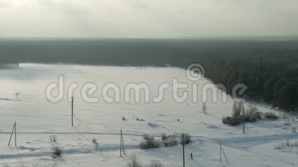 鸟瞰冬季景观乡村有雪林田飞森林覆盖霜雪的树木空中视频的预览图