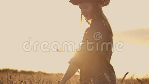 日落时分一位身穿格子衬衫手里拿着平板电脑的女农场主正走在一片麦田里查看着视频的预览图