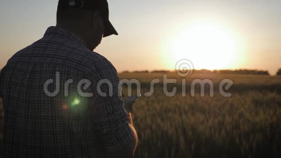 年轻英俊的农民在田间持有智能手机农民在农场使用智能手机管理视频的预览图
