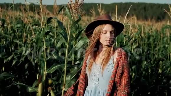 戴着帽子的漂亮年轻女孩站在玉米地里在夕阳下看着相机的肖像现代农业视频的预览图