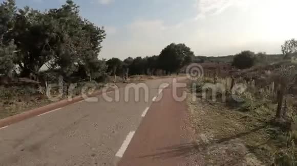 荷兰Veluwe国家公园Posbank沥青路上的下坡自行车视频的预览图