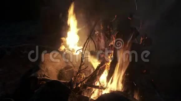 篝火在夜里燃烧视频的预览图