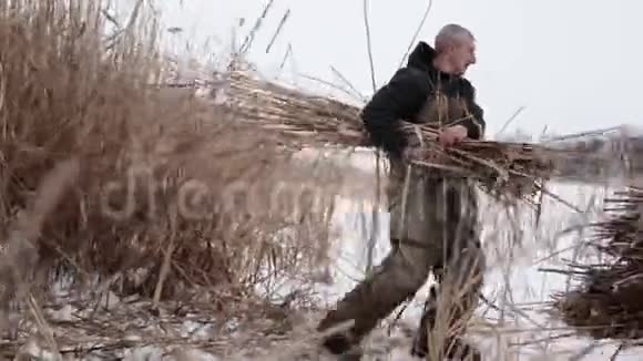 冬天寒冷的一天一个在冰冻湖上的村民把干芦苇收集到干草堆里带他们回家取暖然后把它烧掉视频的预览图