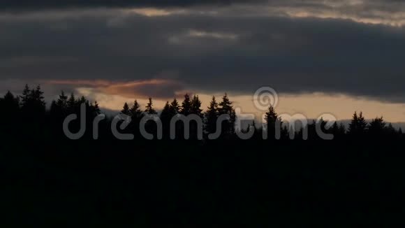在黑森林的暴雨云中视频的预览图