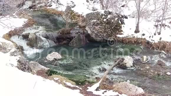 冬季景观中的藻类和绿松石水视频的预览图