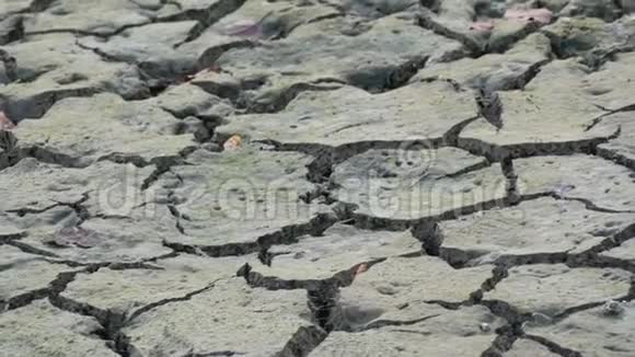 多裂缝的旱地自然干旱干湖具有天然的开裂粘土纹理死亡谷场地球日视频的预览图