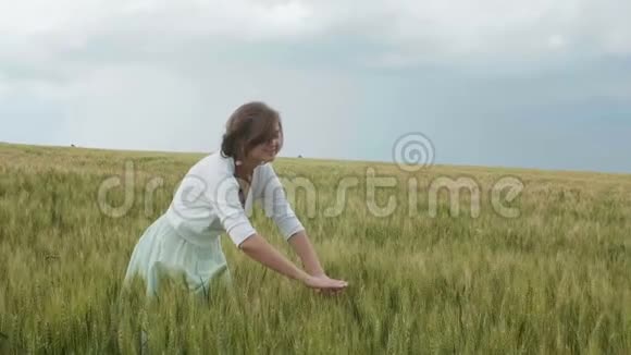 美丽的年轻的俄罗斯女孩在高大的绿色小麦小穗在田间她收集小穗成束女孩恩吉视频的预览图