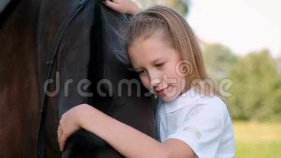 少女带着一匹棕色的马走在田野上视频的预览图