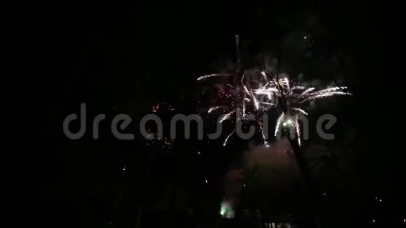 公园里五颜六色的烟花前景中树木的轮廓视频的预览图
