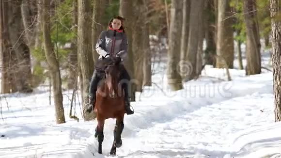 晚冬一个女人骑着马在森林里雪地上行走视频的预览图
