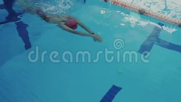 强大的年轻女子在室内日光体育大厅游泳她以爬行的方式移动从游泳池里推下来视频的预览图
