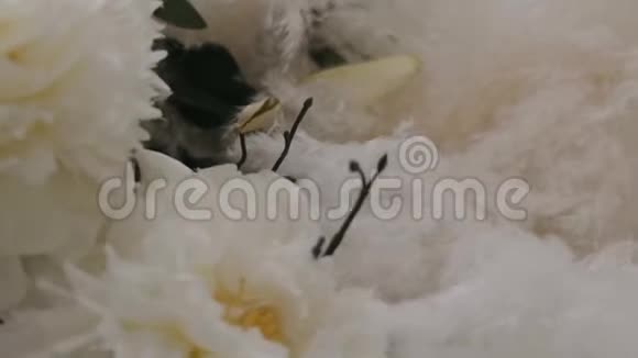 不寻常的白花躺在蓬松的树枝旁边视频的预览图