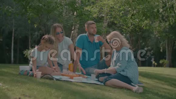 轻松的家庭在夏季公园野餐视频的预览图