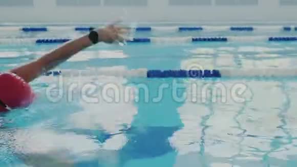 特写镜头熟练的女游泳运动员在游泳池里训练她爬行或爬行用手划她是视频的预览图
