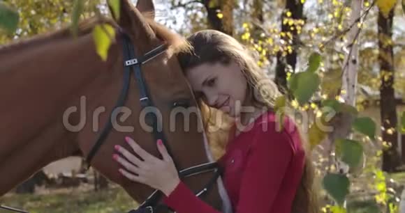 一个年轻的白人女孩在秋天的森林里抚摸着马的脸美丽的黑发马术视频的预览图