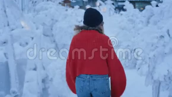 可爱的千禧旅行者在冬季仙境视频的预览图