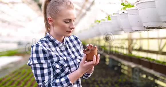 年轻的女性植物学家检查盆栽植物视频的预览图