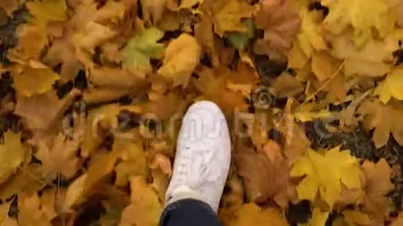 穿着白色运动鞋在秋天落叶中行走视频的预览图