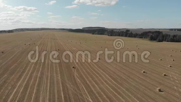 农田的俯视图麦田四架直升机空中摄影视频的预览图