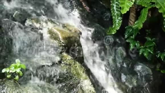 近距离观看瀑布落在岩石上的水自然背景视频的预览图
