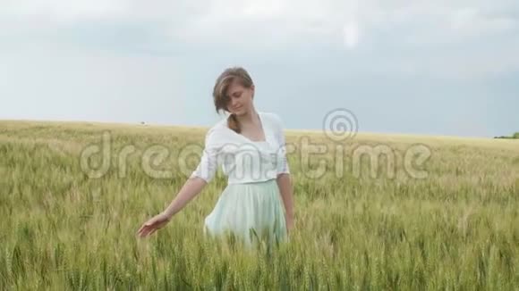 美丽的年轻的俄罗斯女孩在高大的绿色小麦小穗在田间她收集小穗成束女孩恩吉视频的预览图