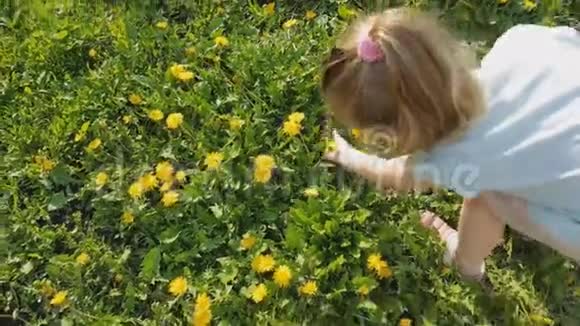 一个小女孩在草坪上采花视频的预览图