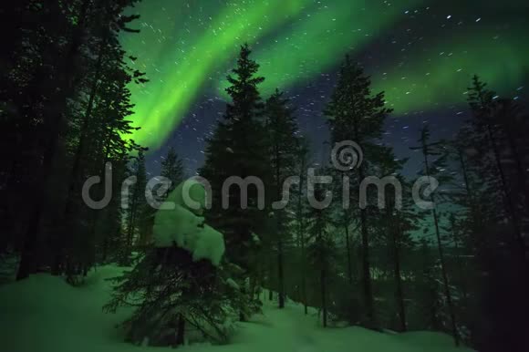 累积时间流逝的森林星空星迹和绿色北极光在芬兰蓝领视频的预览图
