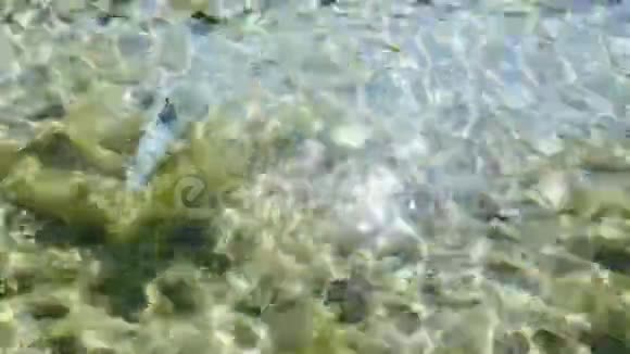 一块塑料包装漂浮在晶莹剔透的水中视频的预览图