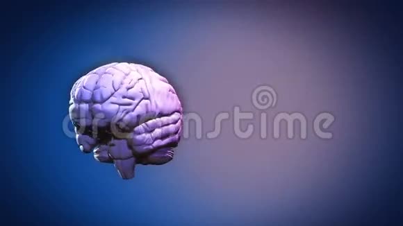 突出显示的大脑部分视频的预览图