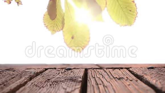 提供明亮光线的木制木板甲板视频的预览图