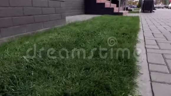 多层建筑附近的平坦绿色草坪视频的预览图