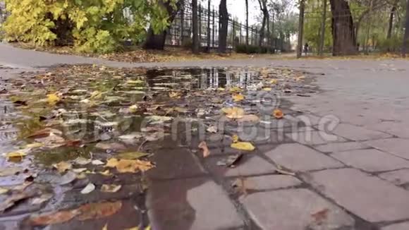 秋天的叶子漂浮在雨水下的水坑里秋季自然背景视频的预览图