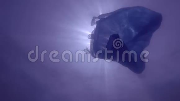 塑料污染一个废弃的蓝色塑料袋在阳光下缓慢地漂浮在水下表面视频的预览图