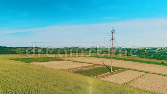 鸟瞰农业和农村无辜的田野4K视频的预览图