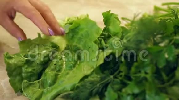 特写女孩放在桌子上用欧芹弄湿生菜素食主义视频的预览图