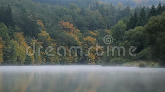 伏塔瓦河雾霭的细节与秋叶视频的预览图