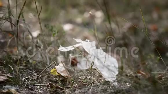 野餐区污染与生态问题塑料污染视频的预览图