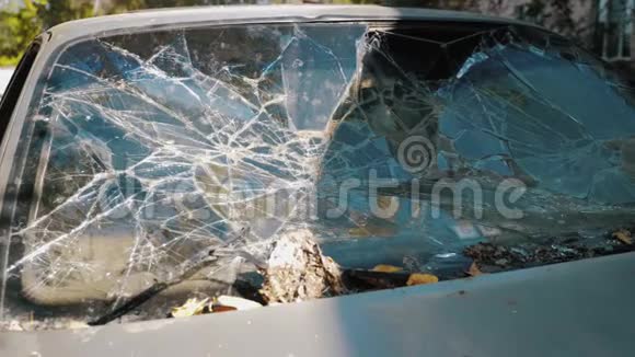 打碎了汽车的玻璃破坏公物视频的预览图