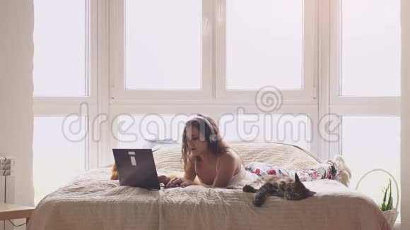 年轻漂亮的女人躺在窗边的床上与笔记本电脑合作可爱的缅因州浣熊猫坐在附近3840x2160视频的预览图