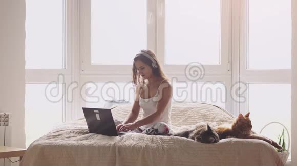 年轻漂亮的女人坐在窗边的床上与笔记本电脑合作缅因州的猫坐在附近3840x2160视频的预览图