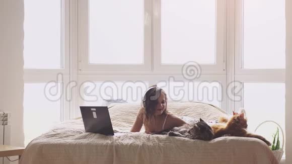 年轻漂亮的黑发女人躺在窗边的床上与笔记本电脑合作缅因州的猫坐在附近3840x2160视频的预览图