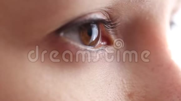 棕色眼睛的特写女孩视频的预览图