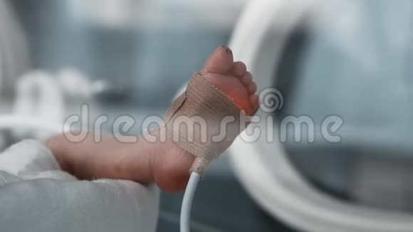 妇产医院婴儿培养箱中熟睡的新生早产婴儿视频的预览图