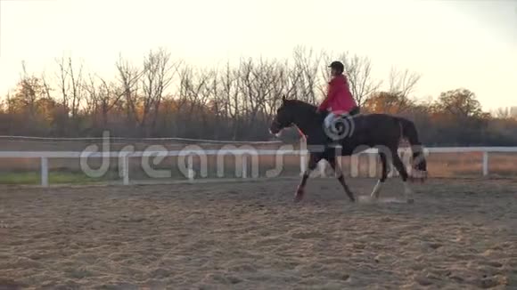 日落时骑士骑着他的马女骑手晚上在蓝天背景下学会骑马动物视频的预览图