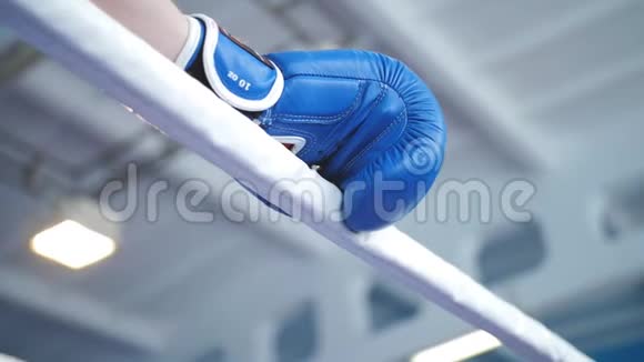 拳击手靠在戒指的绳子上蓝色拳击手套特写视频的预览图